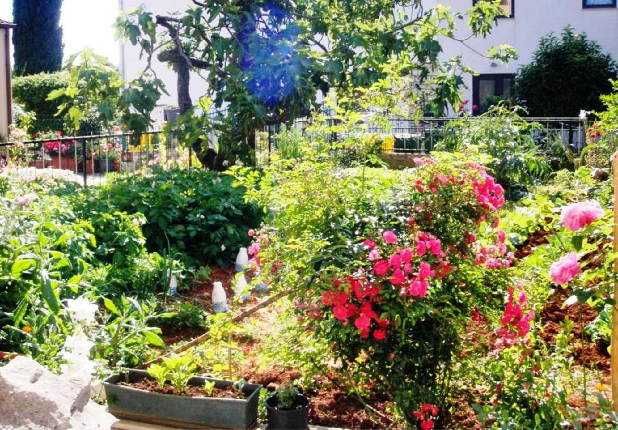 Renata Mare Apartments ロヴィニ エクステリア 写真