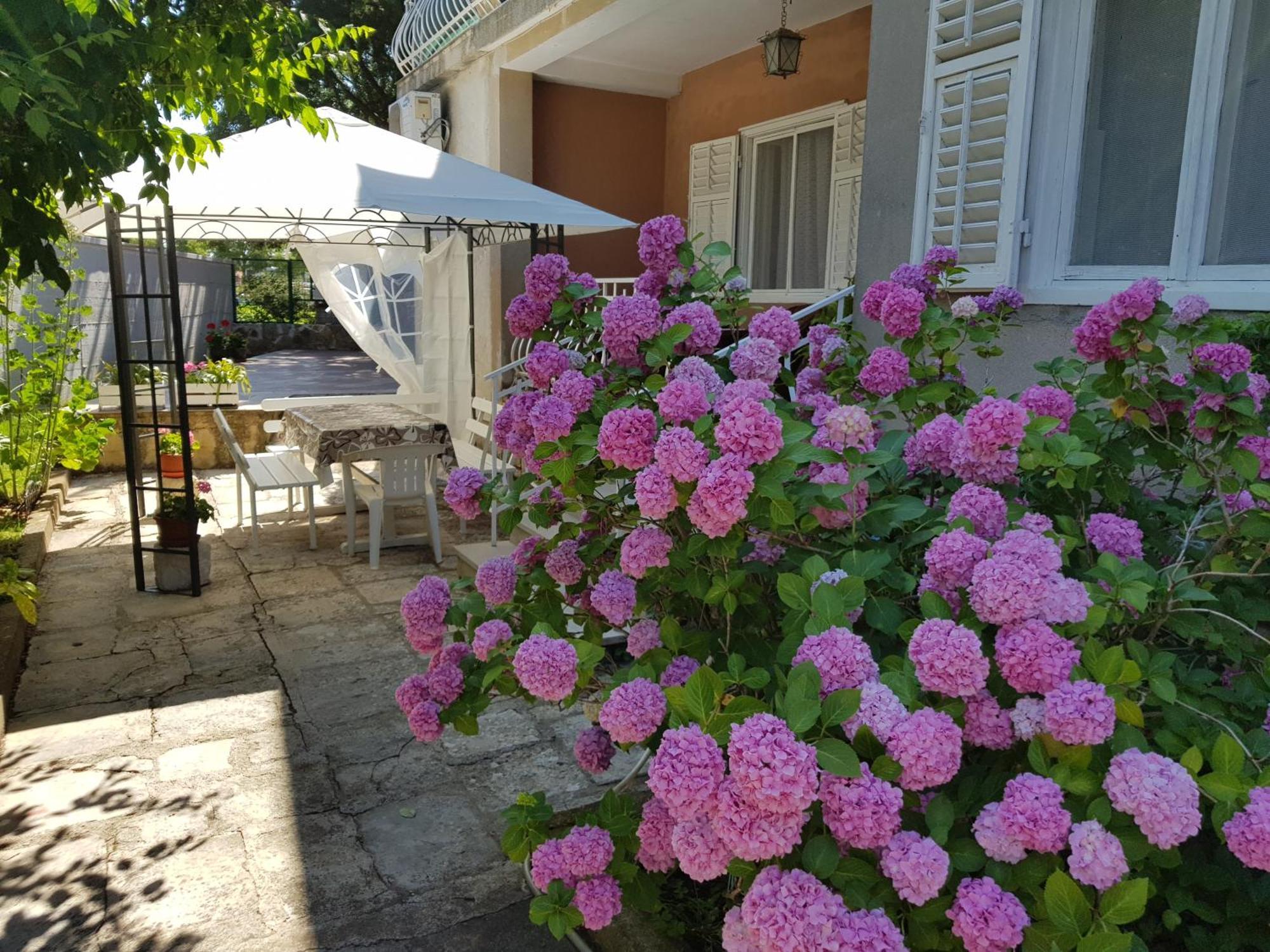 Renata Mare Apartments ロヴィニ エクステリア 写真